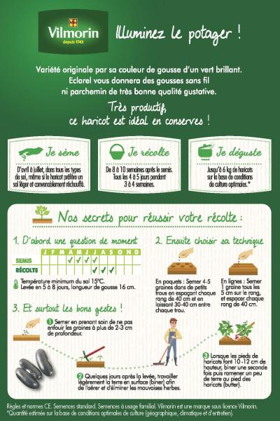 Légumes Secs - Haricot Nain Vert Eclarel - 10 m - MEDIA_PACKAGING_VERSO